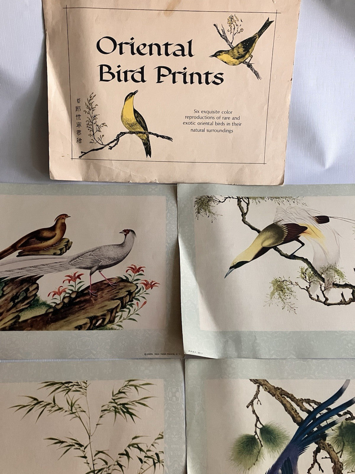 Vintage Penn PrintsOriental Bird Prints Set Of Six With Original Binder