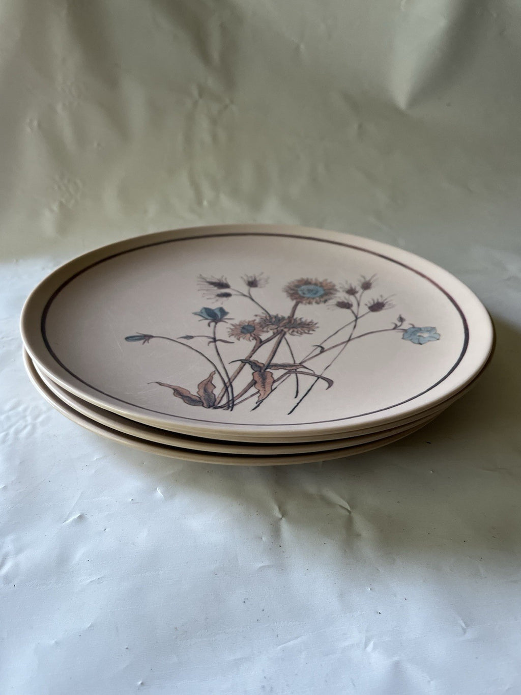 Vintage MCM Texasware Wildflower/Daisy Beige 10” Dinner Plate (4)