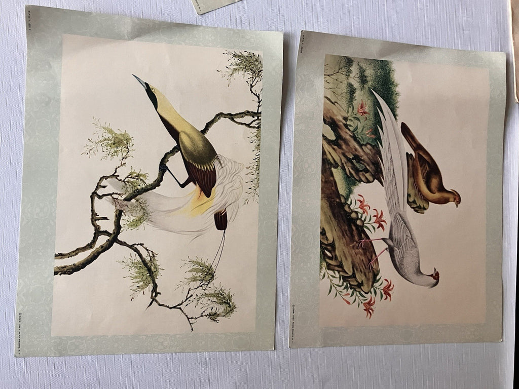 Vintage Penn PrintsOriental Bird Prints Set Of Six With Original Binder