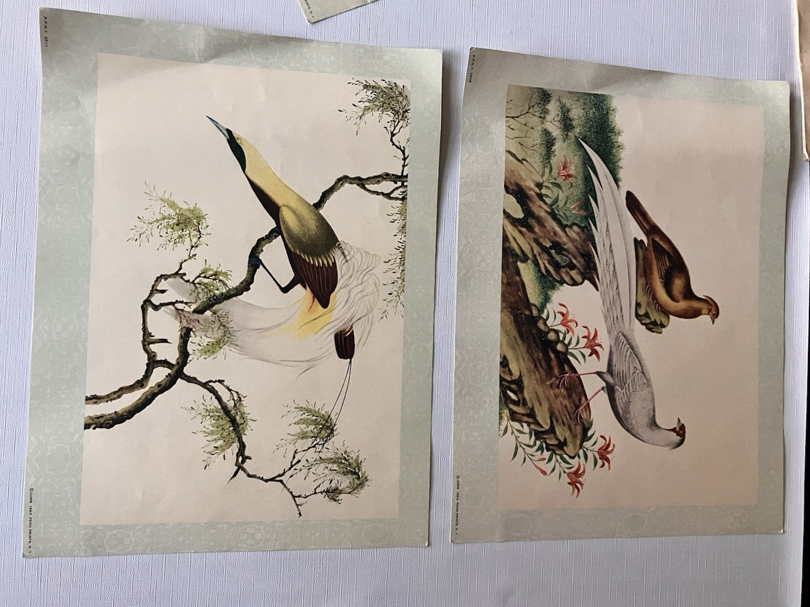 Vintage Penn PrintsOriental Bird Prints Set Of Six With Original Binder