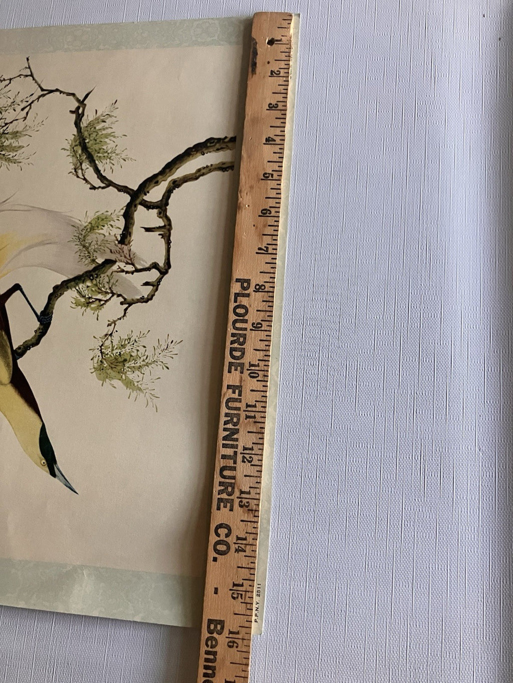 Vintage Penn PrintsOriental Bird Prints Set Of Six With Original Binder