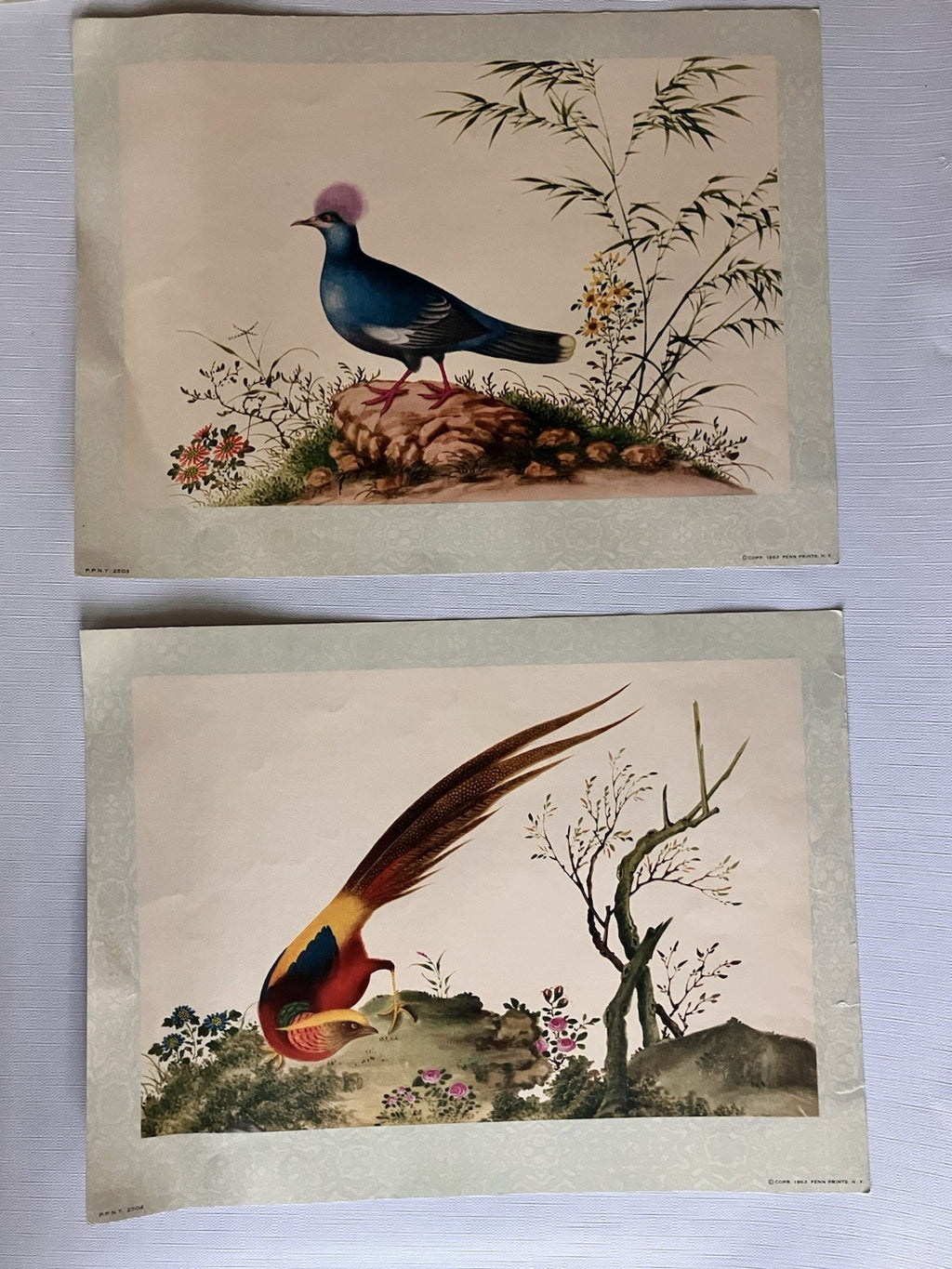 Vintage Penn PrintsOriental Bird Prints Set Of Six With Original Binder
