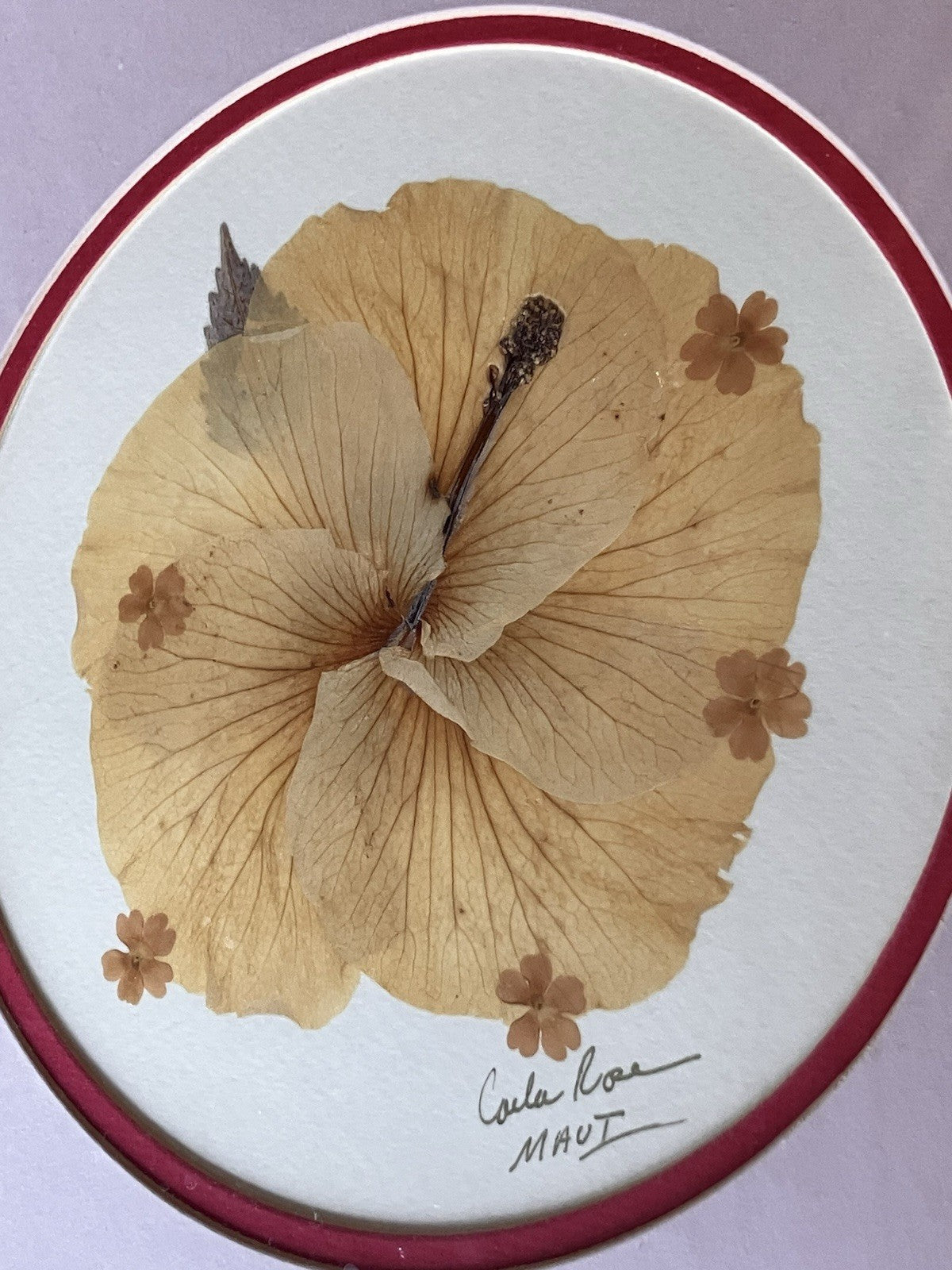 1990’s “Flowers of Aloha” Signed Carla Rose Hibiscus Flower