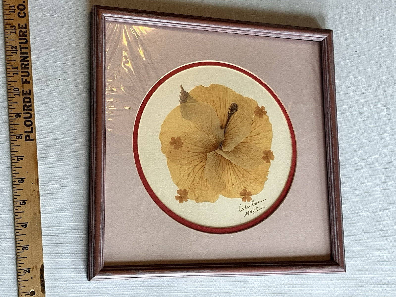1990’s “Flowers of Aloha” Signed Carla Rose Hibiscus Flower