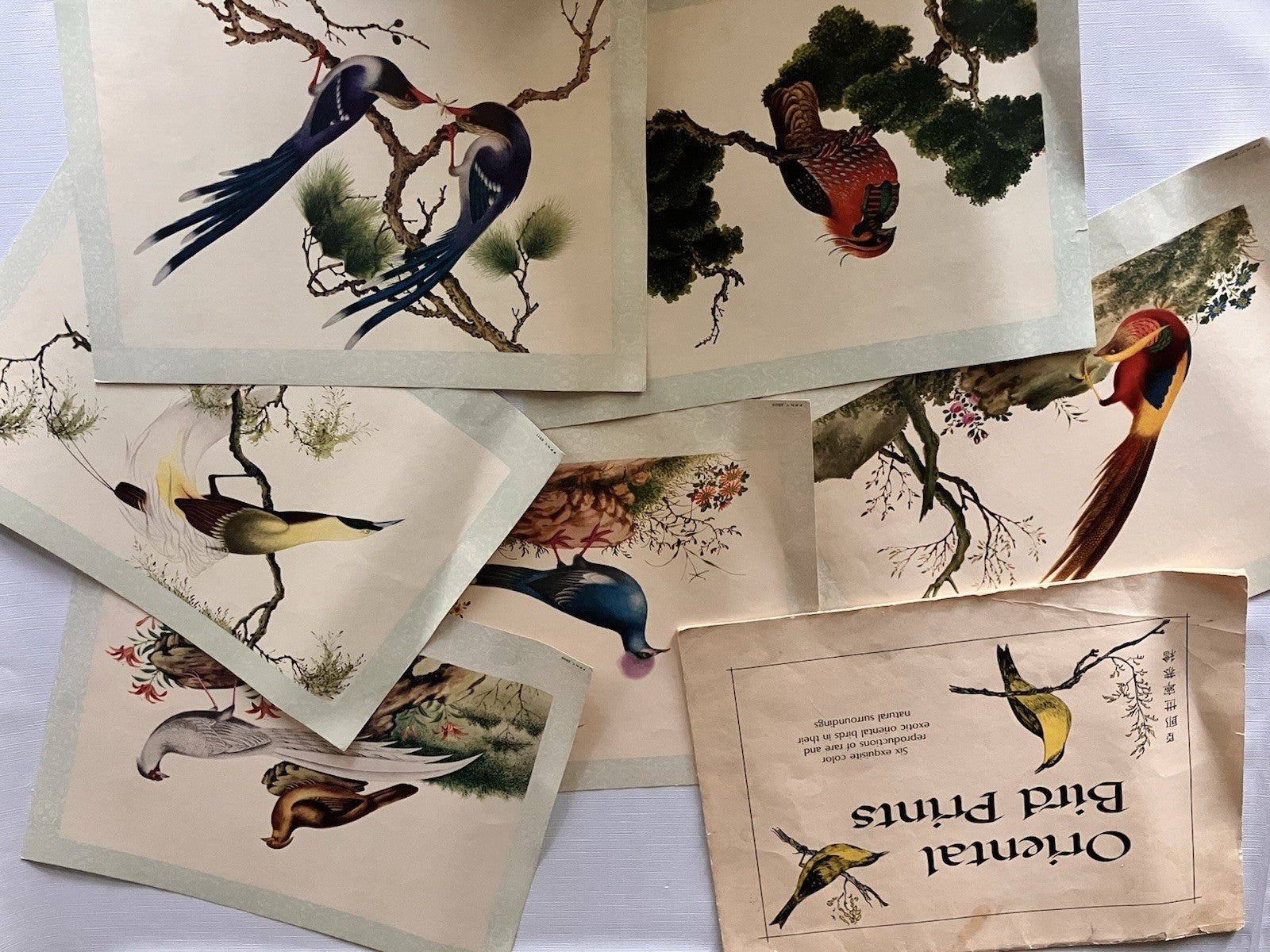 Vintage Penn PrintsOriental Bird Prints Set Of Six With Original Binder