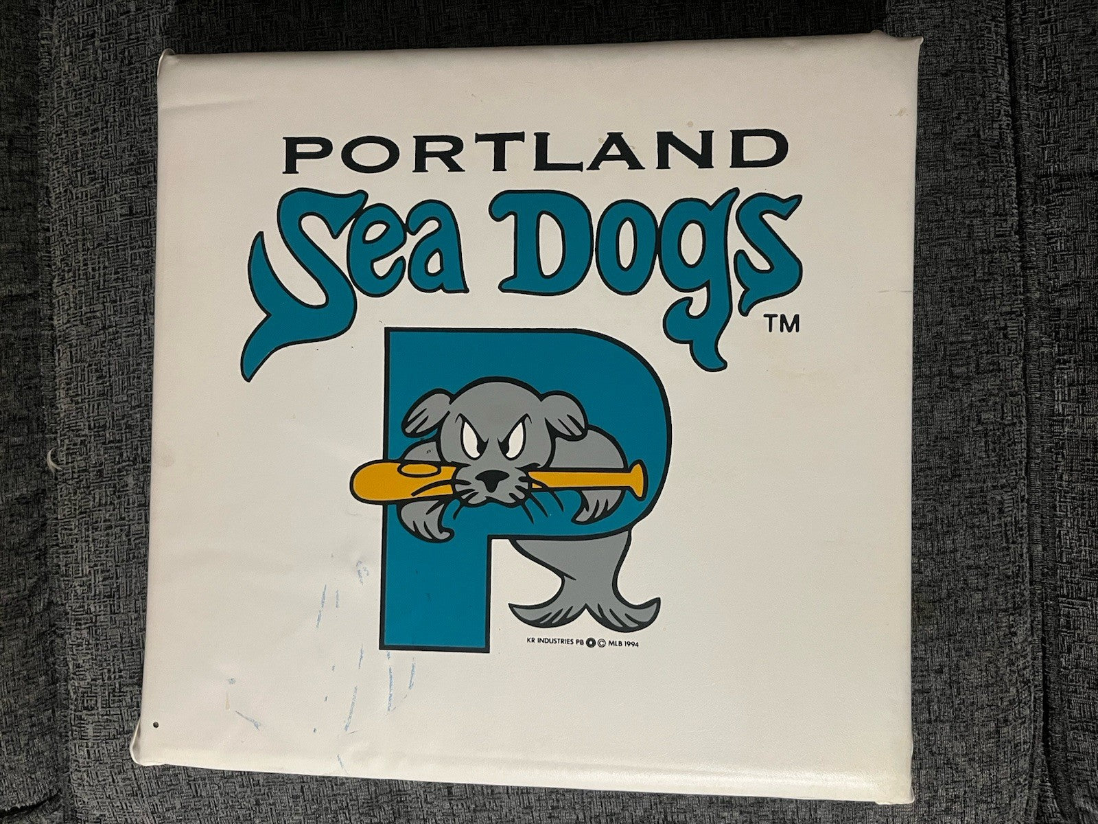 Vtg 1994 Portland Maine Sea Dogs Teal Stadium Seat Cushion Baseball 15x15” 