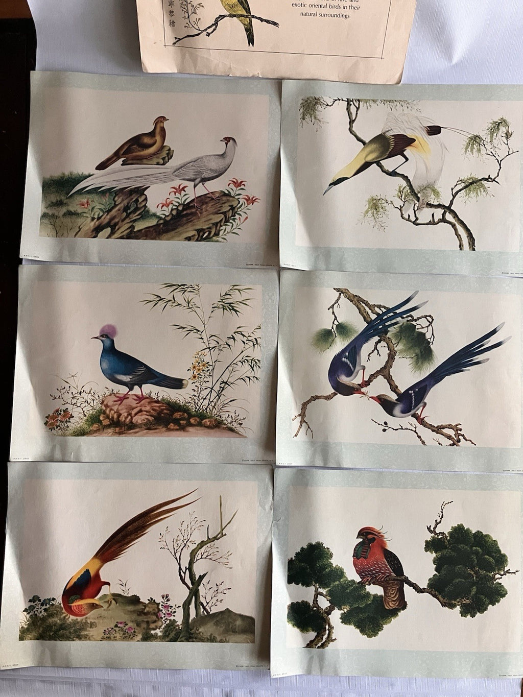 Vintage Penn PrintsOriental Bird Prints Set Of Six With Original Binder
