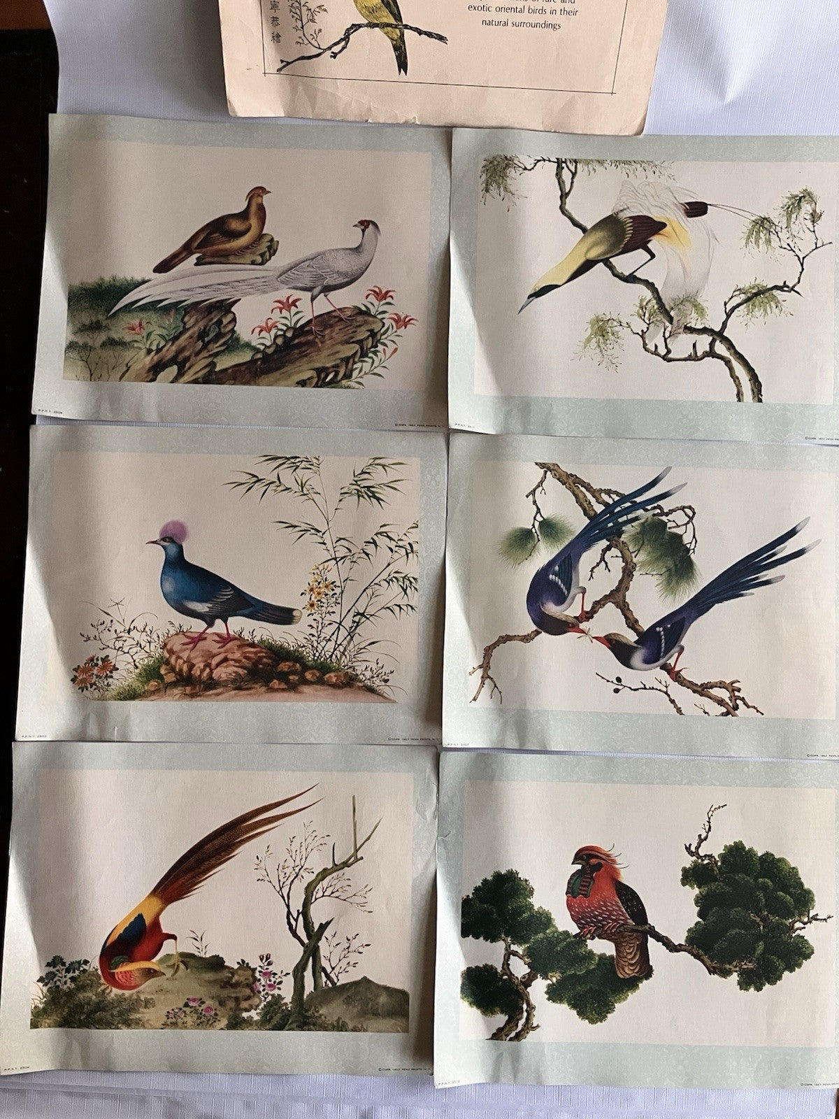 Vintage Penn PrintsOriental Bird Prints Set Of Six With Original Binder