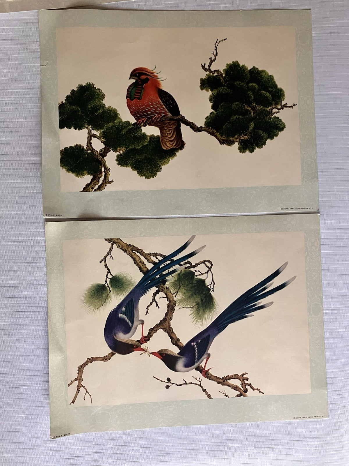 Vintage Penn PrintsOriental Bird Prints Set Of Six With Original Binder