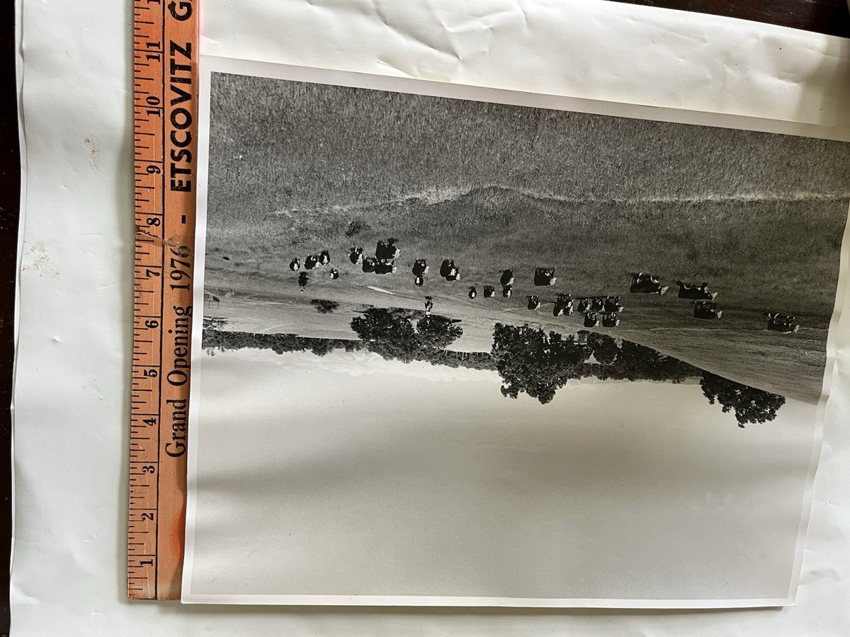 Vintage Early 1900s Cattle Ranch 11x14” Photograph BxW; Mountain Range, Cowboys