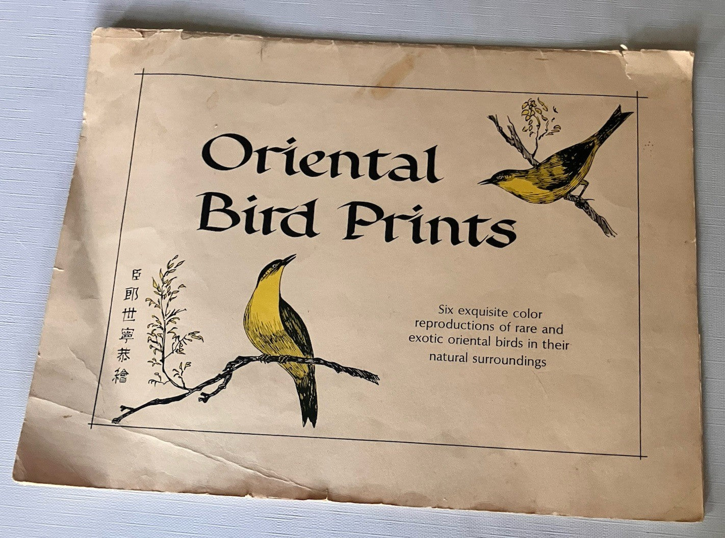 Vintage Penn PrintsOriental Bird Prints Set Of Six With Original Binder