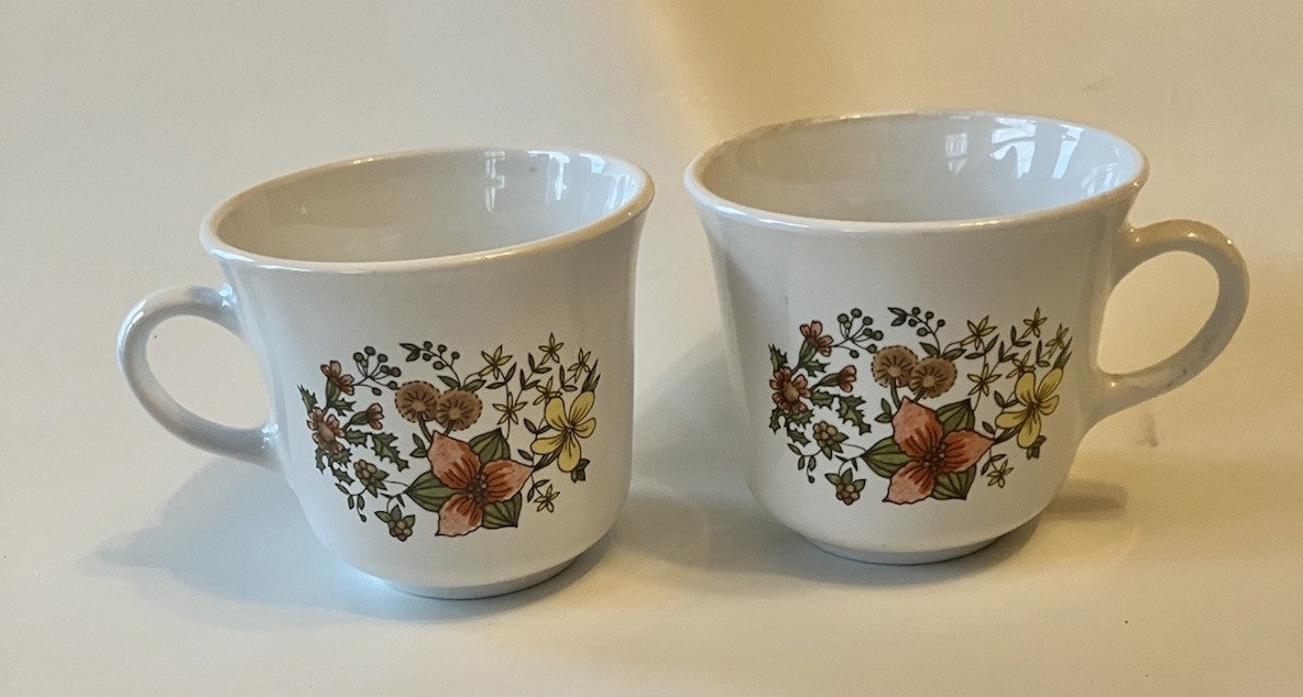 Vintage - Corelle Indian Summer 2 Piece Coffee Tea Cup Mug Cups Corning - 1970s