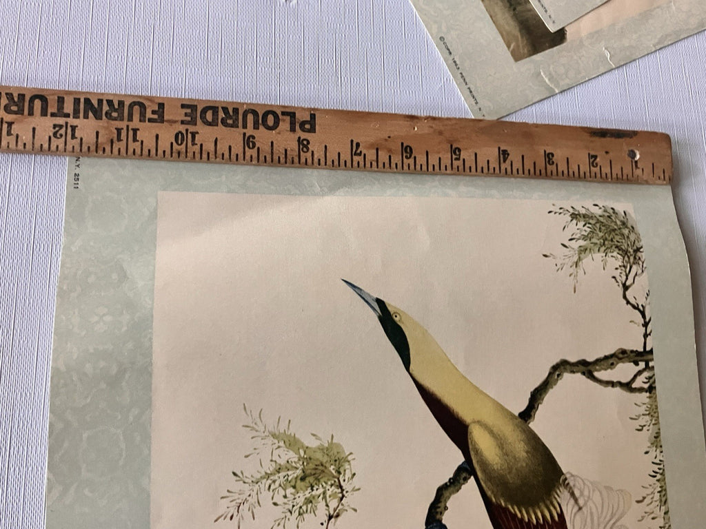 Vintage Penn PrintsOriental Bird Prints Set Of Six With Original Binder