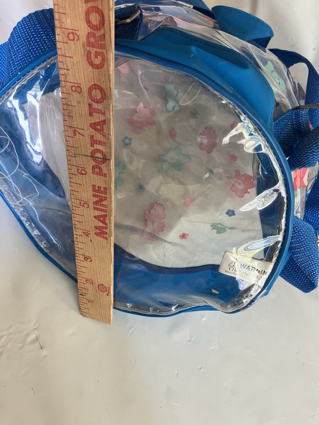 Y2K Clear Bucket Backpack, Pull Cord Care Bear  Backpack, Rare! EUC 2004 Edition
