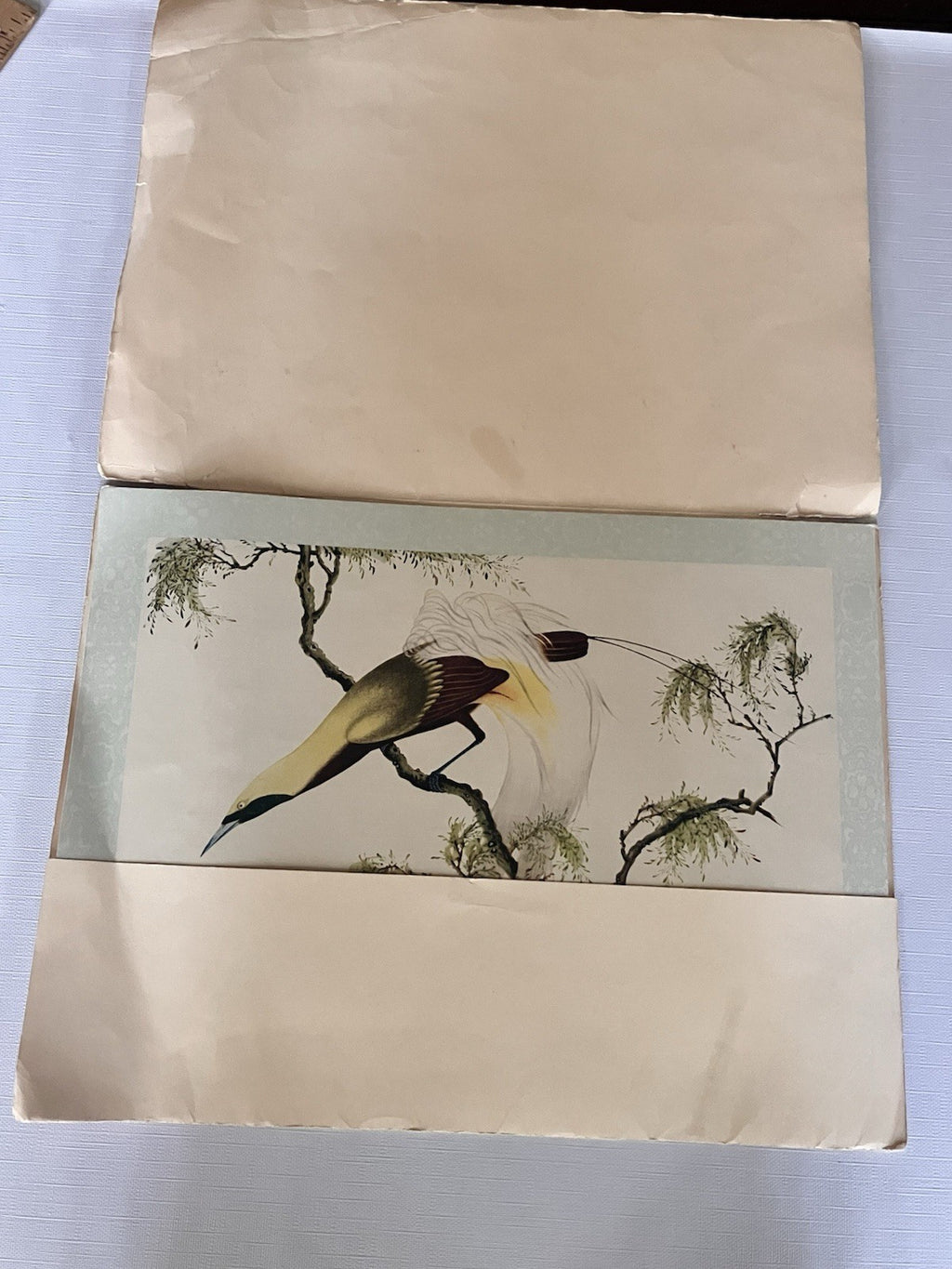 Vintage Penn PrintsOriental Bird Prints Set Of Six With Original Binder