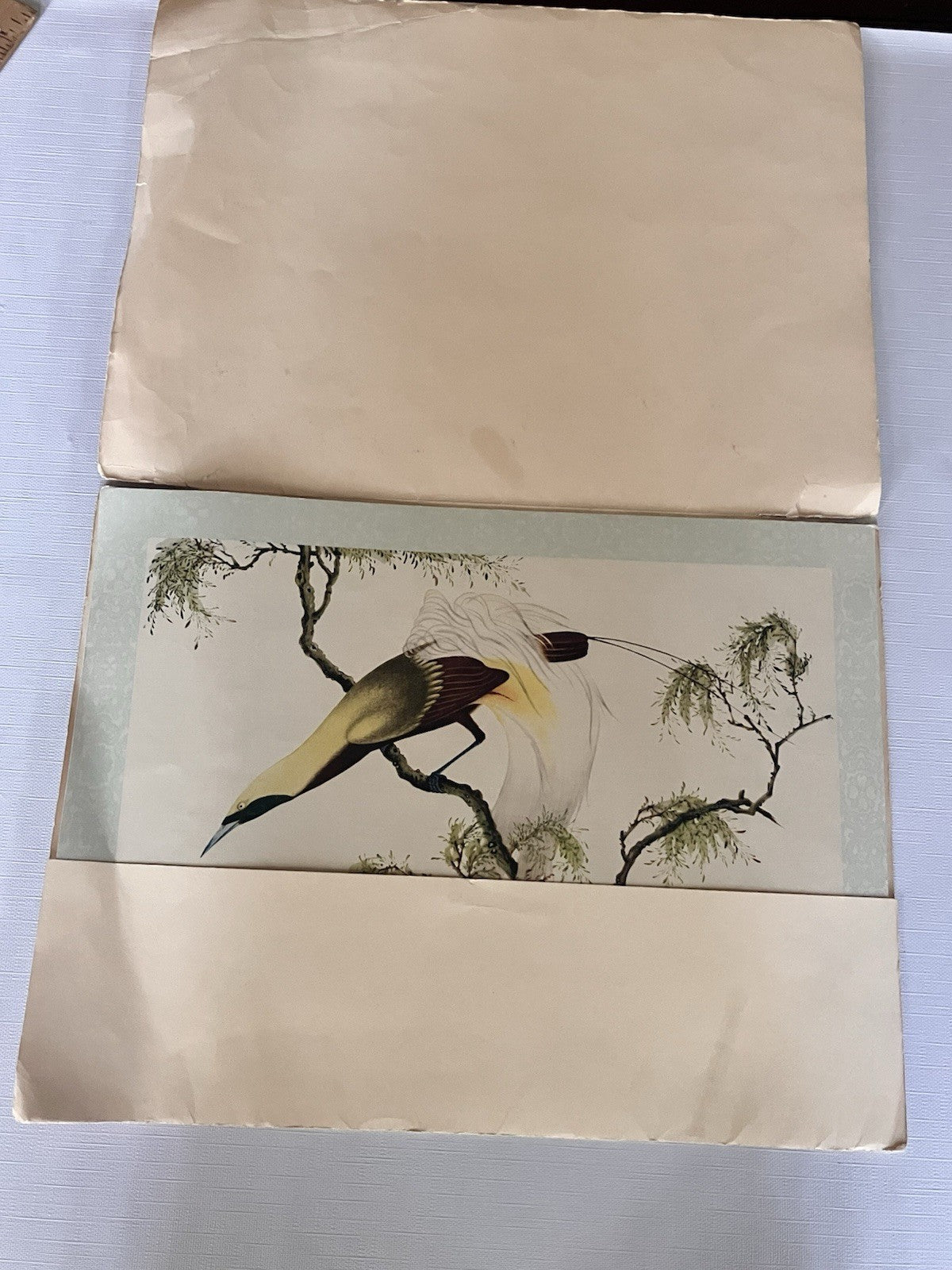 Vintage Penn PrintsOriental Bird Prints Set Of Six With Original Binder