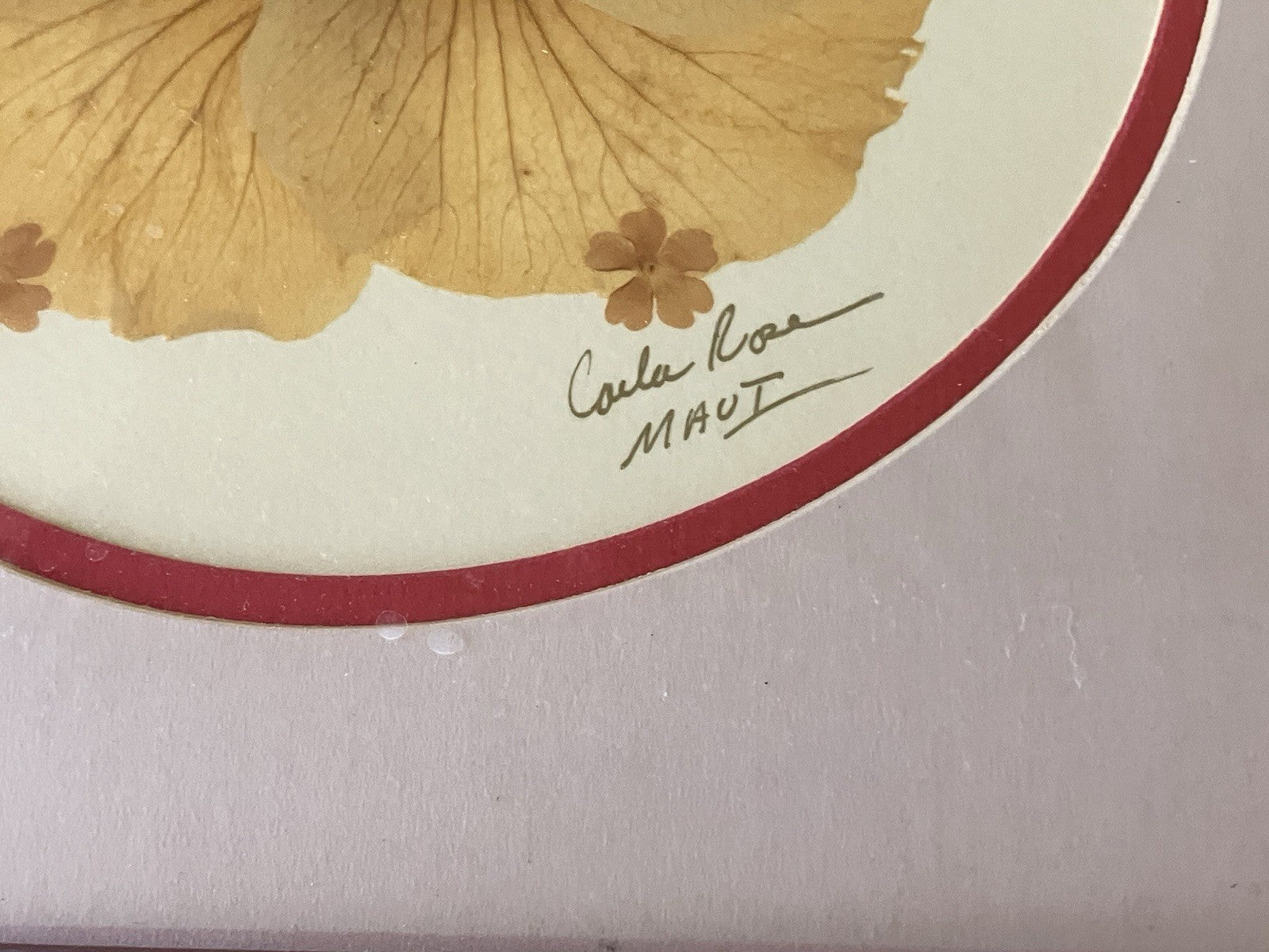 1990’s “Flowers of Aloha” Signed Carla Rose Hibiscus Flower