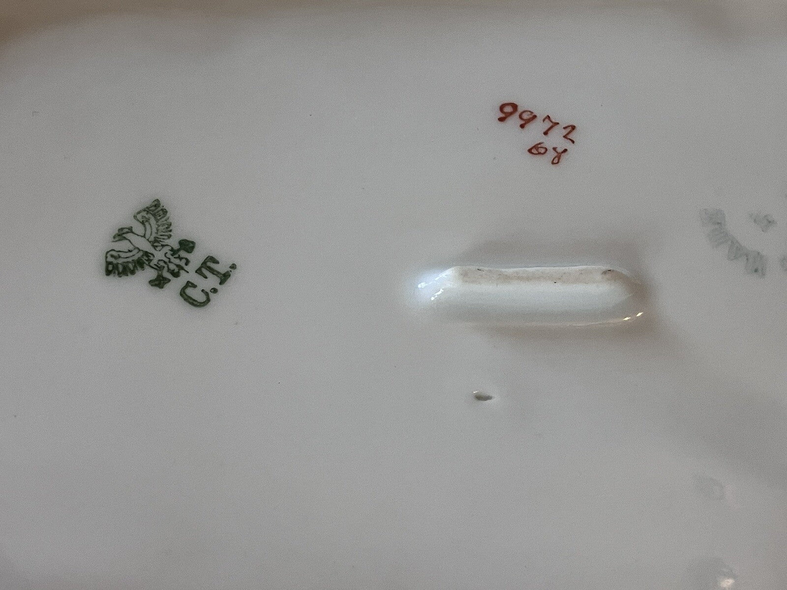 Vintage German C. Tielsch Co. Floral Porcelain Serving Platter. EVC