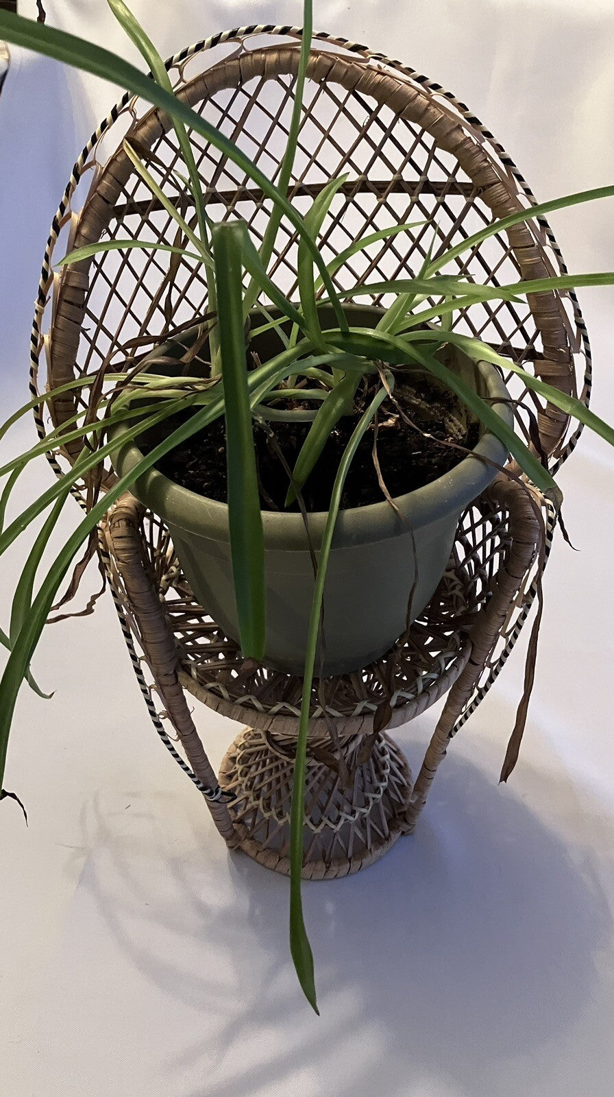 Vintage Wicker Peacock Rattan Chair 15.5 Plant Stand Doll Chair