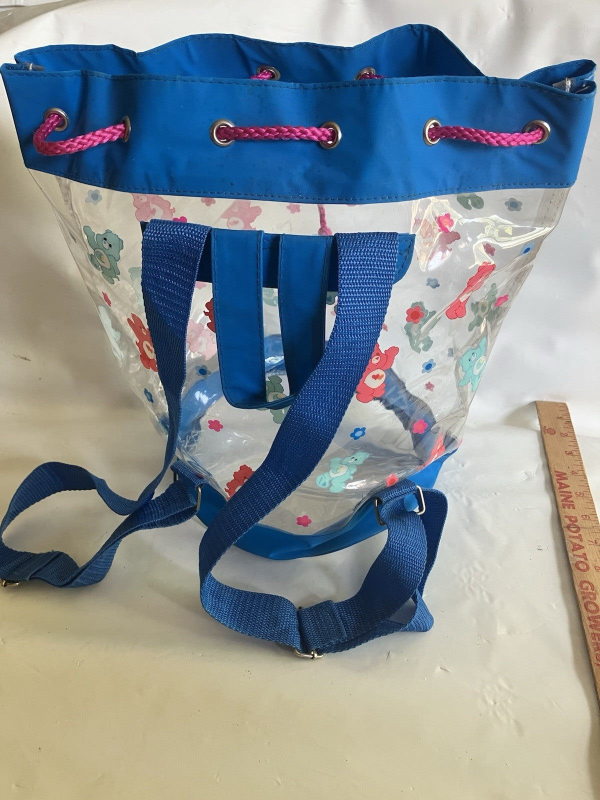 Y2K Clear Bucket Backpack, Pull Cord Care Bear  Backpack, Rare! EUC 2004 Edition