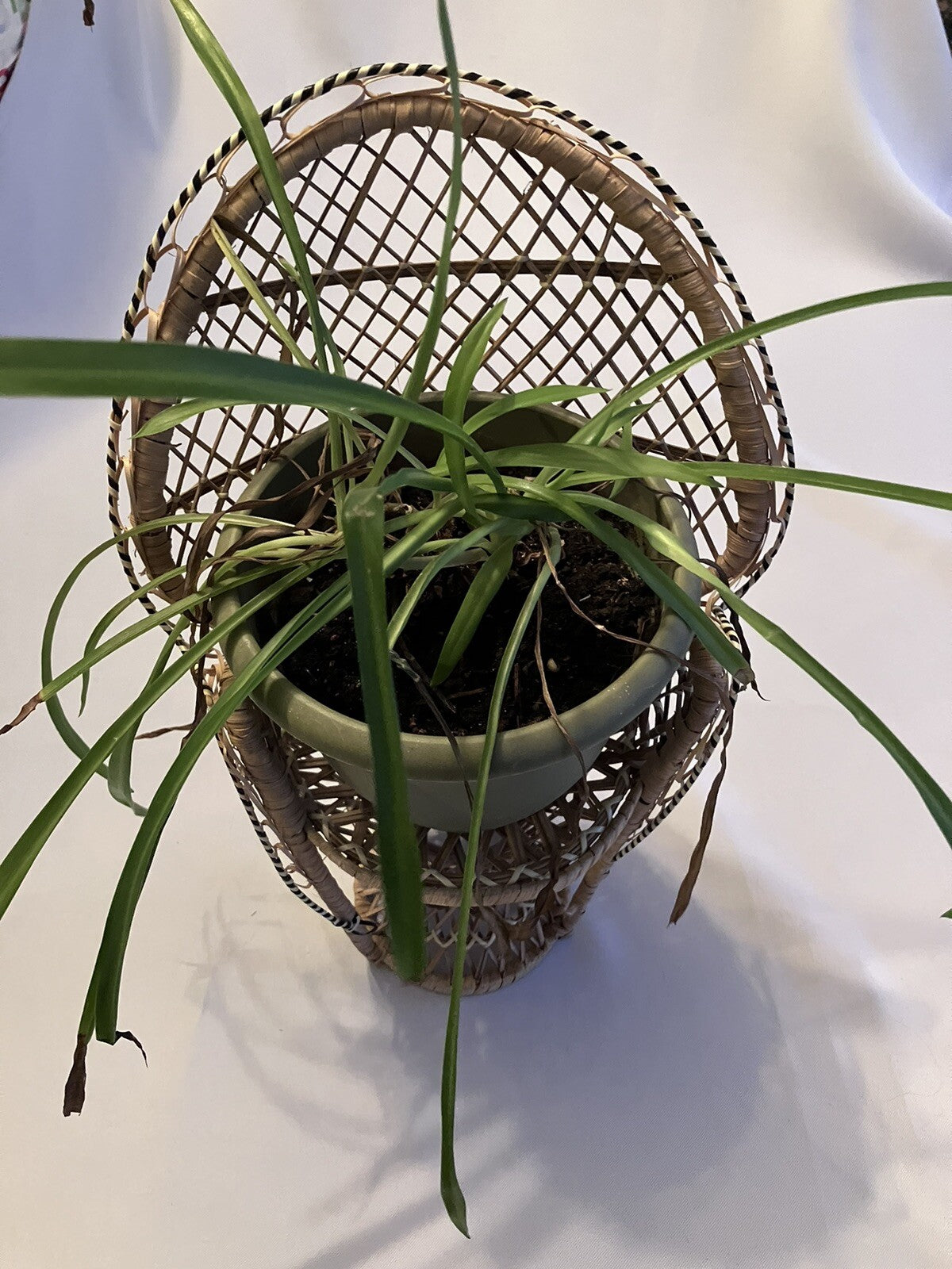 Vintage Wicker Peacock Rattan Chair 15.5 Plant Stand Doll Chair